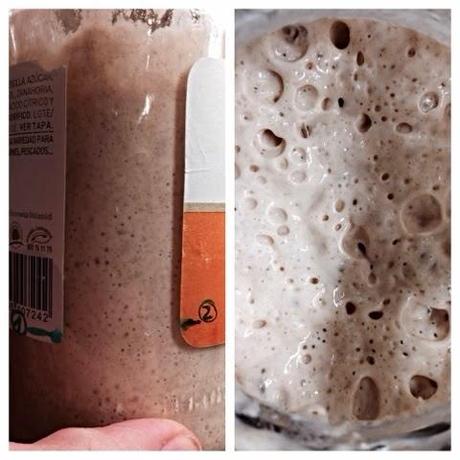 Masa Madre Masa Madre