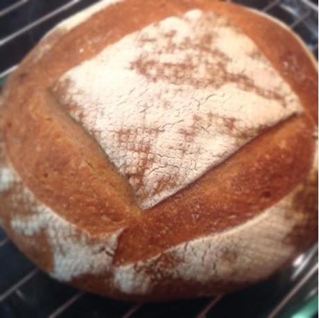 Masa Madre Masa Madre