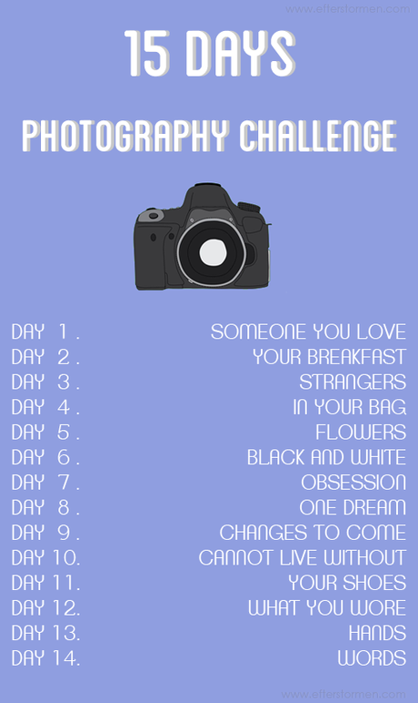 Proyecto fotográfico 15 días / Photography challenge 15 days