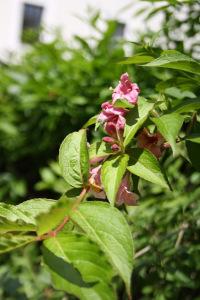 Páginas de una vida: Kutna Hora, República Checa IMG_0417