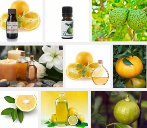 Aceite de Ponkan. Bergamota Aceite de Ponkan. Bergamota