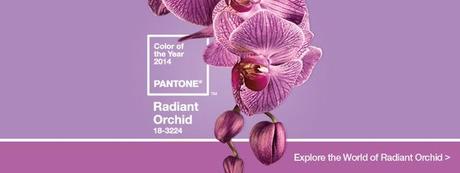 orquidea radiante color ano 2014 radiant_orchid