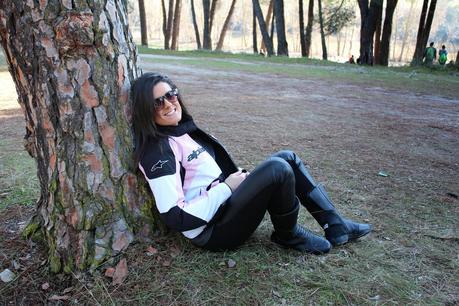 PINGÜINOS PINGÜINOS