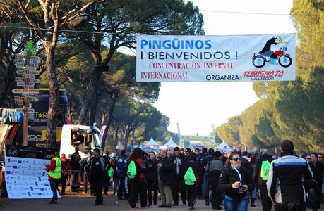 PINGÜINOS PINGÜINOS