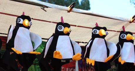 PINGÜINOS PINGÜINOS