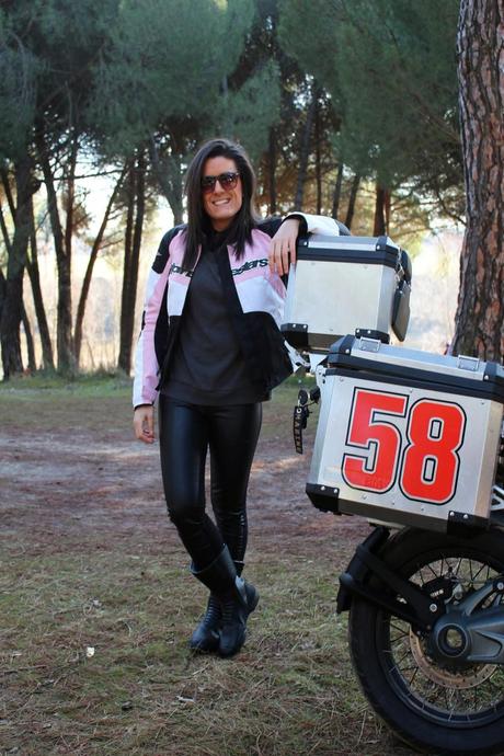 PINGÜINOS PINGÜINOS