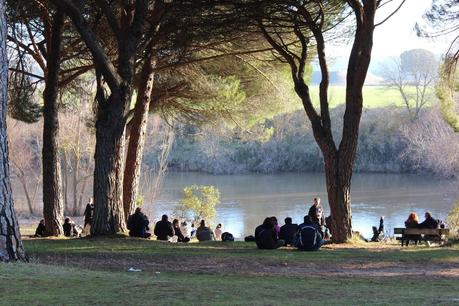 PINGÜINOS PINGÜINOS