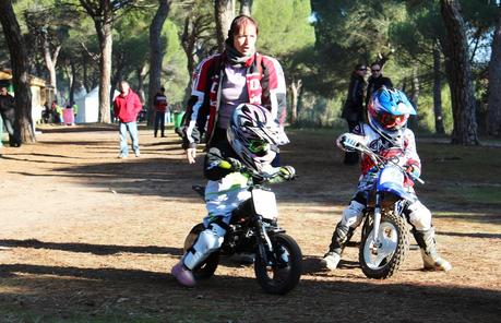 PINGÜINOS PINGÜINOS