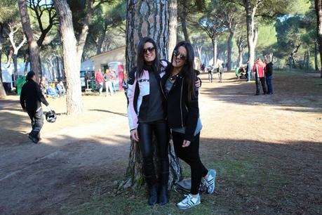 PINGÜINOS PINGÜINOS