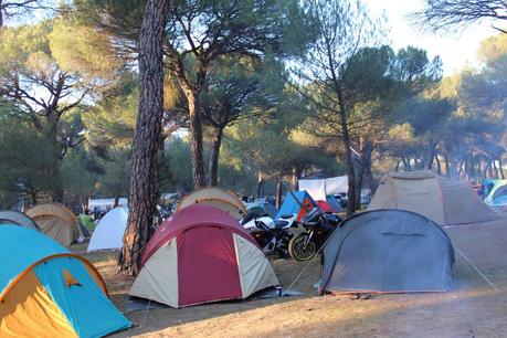 PINGÜINOS PINGÜINOS