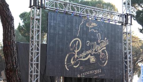 PINGÜINOS PINGÜINOS