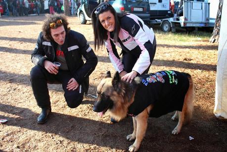 PINGÜINOS PINGÜINOS