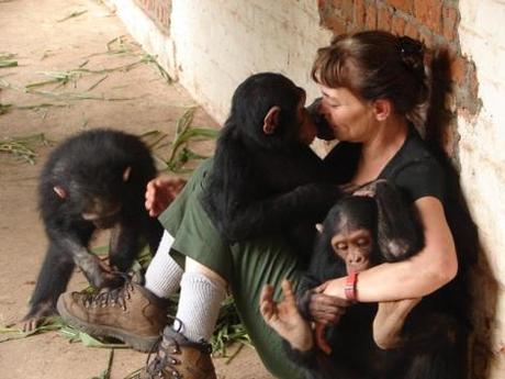Conferencias: Carmen Vidal y los primates del Congo Carmen Vidal