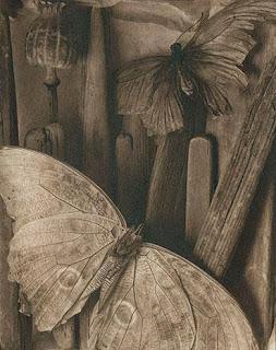 RELATO: CON EL SENTIMIENTO, LOS MIÉRCOLES A LAS 8 (Parte Iª) RELATO: CON EL SENTIMIENTO, LOS MIÉRCOLES A LAS 8 (Parte Iª)