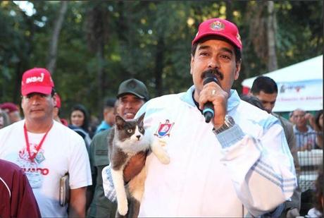 Maduro adoptó un gato??