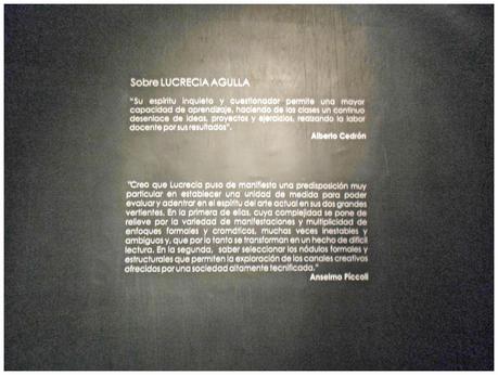 Centro Cultural Borges: Exposición Hondo. Lucrecia Agulla.