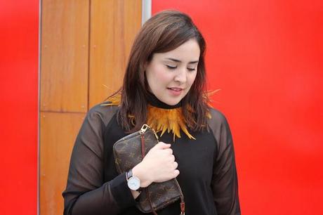 Gallo Caldera Bomeé y Daniel Wellington Gallo Caldera Bomeé y Daniel Wellington