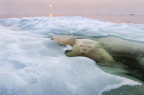 Foto ganadora concurso National Geographic 2013