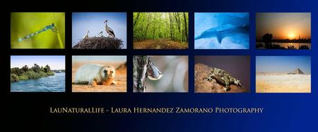 Balances Viajeros ... Balances Viajeros ...