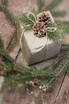 ¡Feliz Navidad 2013! ¡Feliz Navidad 2013!