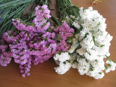 Flores de temporada: Otoño Flores de temporada: Otoño