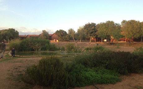 La bio boda – consideraciones preliminares Laguito de Vinyols Camp