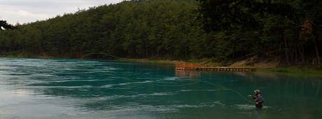 HOY VIERNES COMIENZA EL PRIMER CAMPEONATO MUNDIAL DE PESCA CON MOSCA HOY VIERNES COMIENZA EL PRIMER CAMPEONATO MUNDIAL DE PESCA CON MOSCA