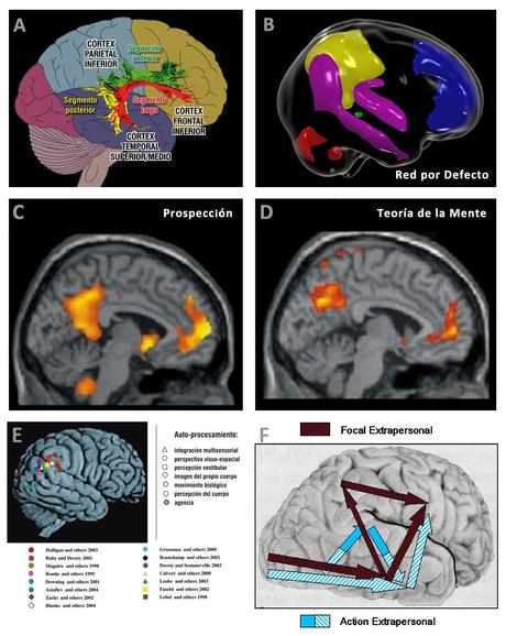 ¿CUANTO TIEMPO TARDA NUESTRO CEREBRO EN PROCESAR LA INFORMACIÓN QUE VEMOS? ¿CUANTO TIEMPO TARDA NUESTRO CEREBRO EN PROCESAR LA INFORMACIÓN QUE VEMOS?