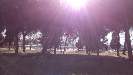 PATOS Y TORTUGAS EN MOLLET DEL VALLÉS...20-01-2014...!!! PATOS Y TORTUGAS EN MOLLET DEL VALLÉS...20-01-2014...!!!