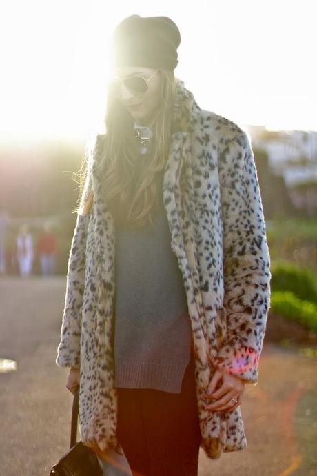 Leopard Lover Leopard Lover