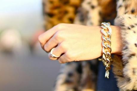 Leopard Lover Leopard Lover