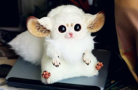 Post Chernobyl,un lindo cachorro de ardillabicornio mezclado con vacuno Post Chernobyl,un lindo cachorro de ardillabicornio mezclado con vacuno