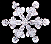 Snowflake11 Un año cristalino