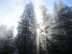 Distorsión cognitiva 1: Pensamiento todo o nada. file2151301027007