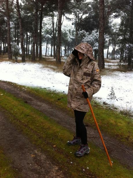 Go for a walk with dogs Go for a walk with dogs