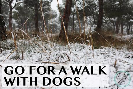 Go for a walk with dogs Go for a walk with dogs