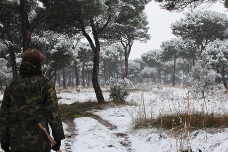 Go for a walk with dogs Go for a walk with dogs