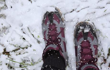 Go for a walk with dogs Go for a walk with dogs