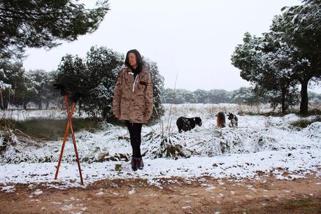 Go for a walk with dogs Go for a walk with dogs