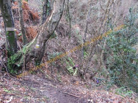 Ascensión al pico Gorfolí (585 m.) y visita a la cascada de Friera Ascensión al pico Gorfolí (585 m.) y visita a la cascada de Friera