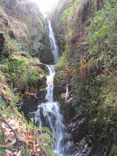 Ascensión al pico Gorfolí (585 m.) y visita a la cascada de Friera Ascensión al pico Gorfolí (585 m.) y visita a la cascada de Friera