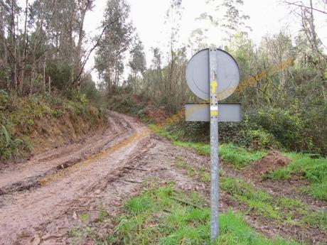 Ascensión al pico Gorfolí (585 m.) y visita a la cascada de Friera Ascensión al pico Gorfolí (585 m.) y visita a la cascada de Friera