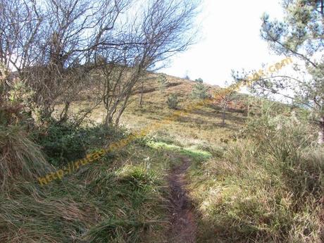 Ascensión al pico Gorfolí (585 m.) y visita a la cascada de Friera Ascensión al pico Gorfolí (585 m.) y visita a la cascada de Friera