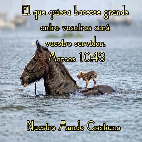 Grandeza verdadera Grandeza verdadera