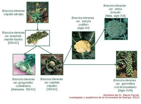 Hijos de buena madre Hijos de buena madre