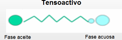 Origen y definición de la Limpieza Profesional Origen y definición de la Limpieza Profesional