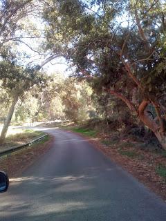 Blogger Traveller Noviembre: HOJAS Blogger Traveller Noviembre: HOJAS