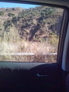 Blogger Traveller Noviembre: HOJAS Blogger Traveller Noviembre: HOJAS