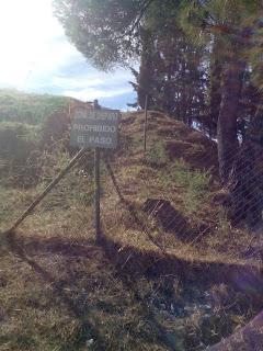 Blogger Traveller Noviembre: HOJAS Blogger Traveller Noviembre: HOJAS