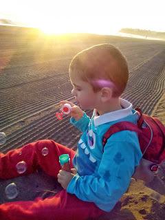 Blogger Traveller Noviembre: HOJAS Blogger Traveller Noviembre: HOJAS